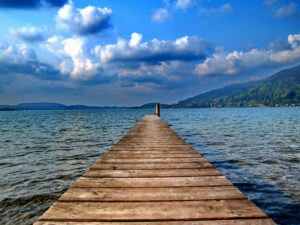 Tiny-Ducks-Fall-Asleep-On-A-Dock